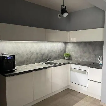 Apartman Lovely 50 M2 Next To The Park And 2,2km City Center Krakkó